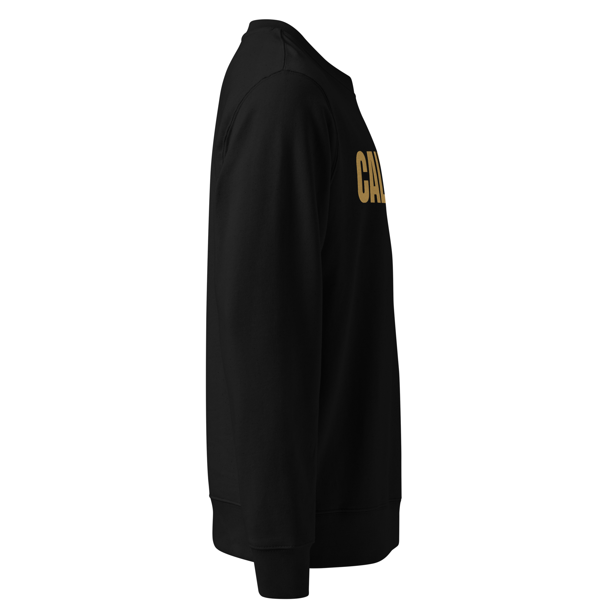CALVERO® Sweatshirt Black Gold rechte Seitenansicht in Schwarz